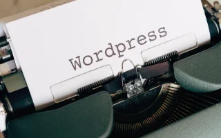 ¿Cómo hacer una entrada en WordPress?